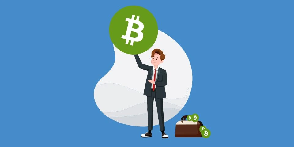What is Bitcoin Cash? (BCH) - A bitFlyer Academy Guide for Beginners