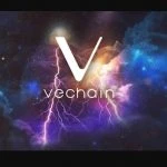 Vechain And Olive Times Became Partners To Deliver Best Quality Premium Olive Oils In China