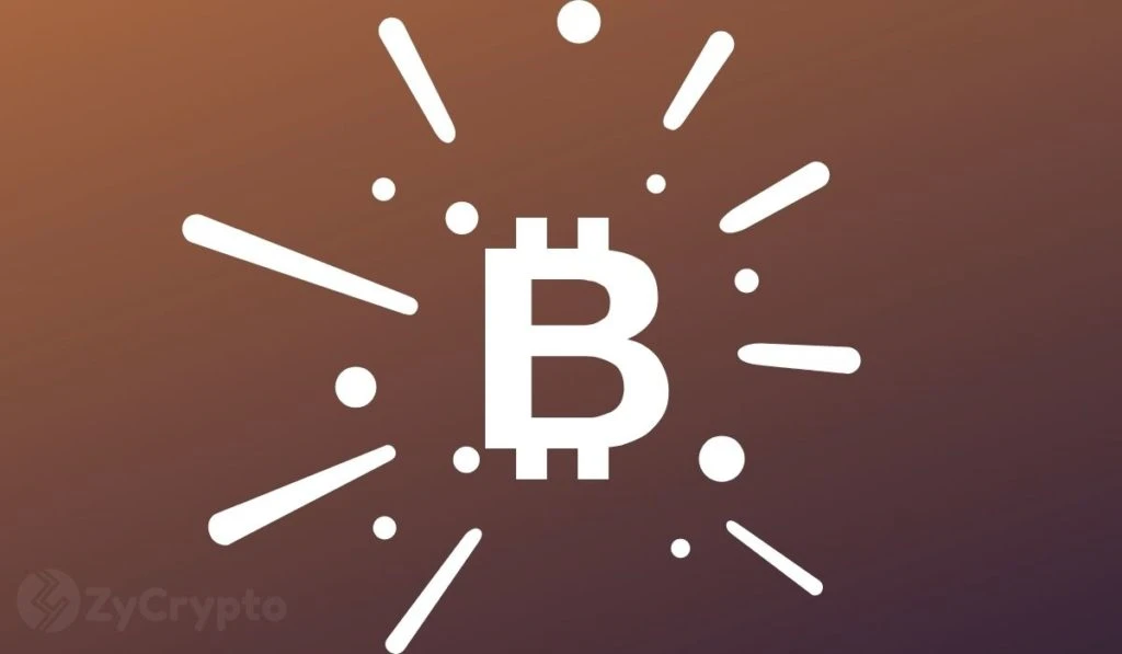 Bitcoin’s Downward Correction Below $50,000 Shines Light On This Wild Market Scenarios