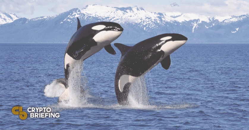 Solana DEX Orca Raises $18M From Top VCs