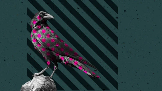 Acala Launches First Liquid Staking Product for Polkadot & Kusama in Partnership With Blockdaemon