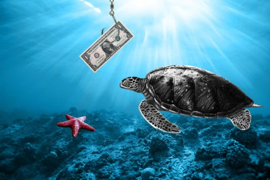 Reef Finance Rebrands to Reef As It Commences Development Of EVM-Compatible Blockchain