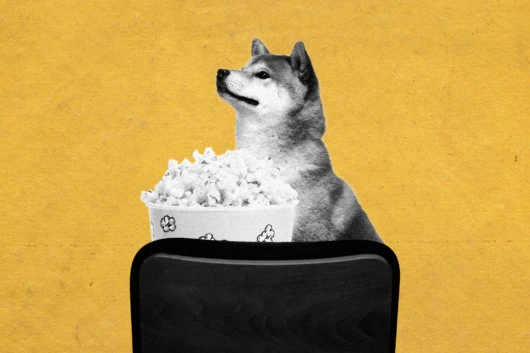 AMC to Begin Accepting Shiba Inu (SHIB) in the Next Quarter
