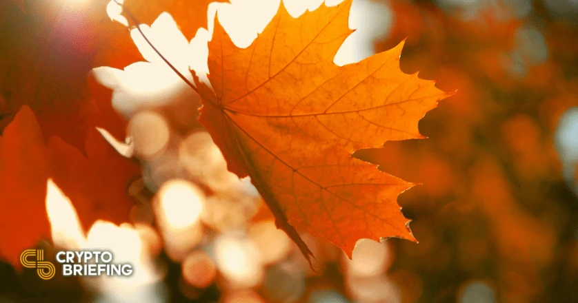 Maple Finance Launches DeFi’s First Syndicated Loans With Alameda Research