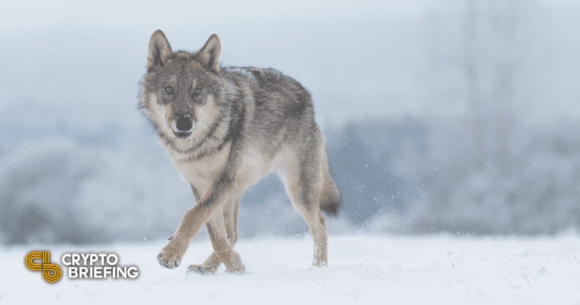 A Metaverse Wolf? That’ll Be $80,000 in Ethereum, Please