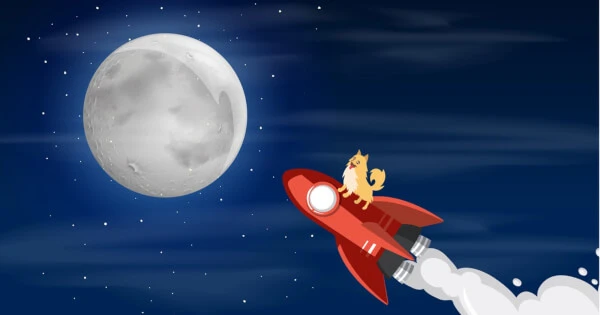 Elon Musk and Changpeng “CZ” Zhao Clash Over Dogecoin Glitch