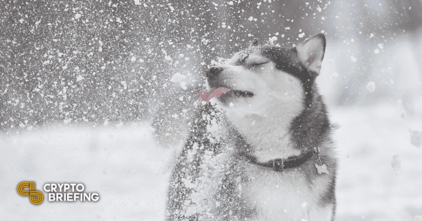 OlympusDAO Fork Snowdog Hit By 90% Crash