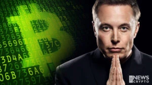 Elon Musk Degrades Crypto, Web3-Leading to Market Crash