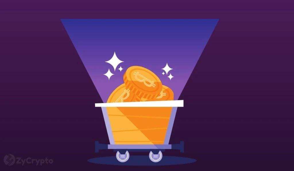 These Two Altcoins May Have Made It Into Elon Musk’s Crypto Portfolio, According To Speculators