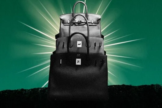 Hermès Fashion House Orders Removal of MetaBirkin NFTs