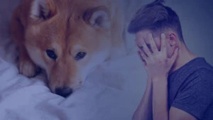 Dogecoin Billy Markus Thrashes Mozilla for It’s Decisions on Crypto