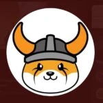 Floki Inu (FLOKI) Become the Top 10 Most Used Smart Contracts by 1000 Biggest BSC Wallets in the last 24 Hours