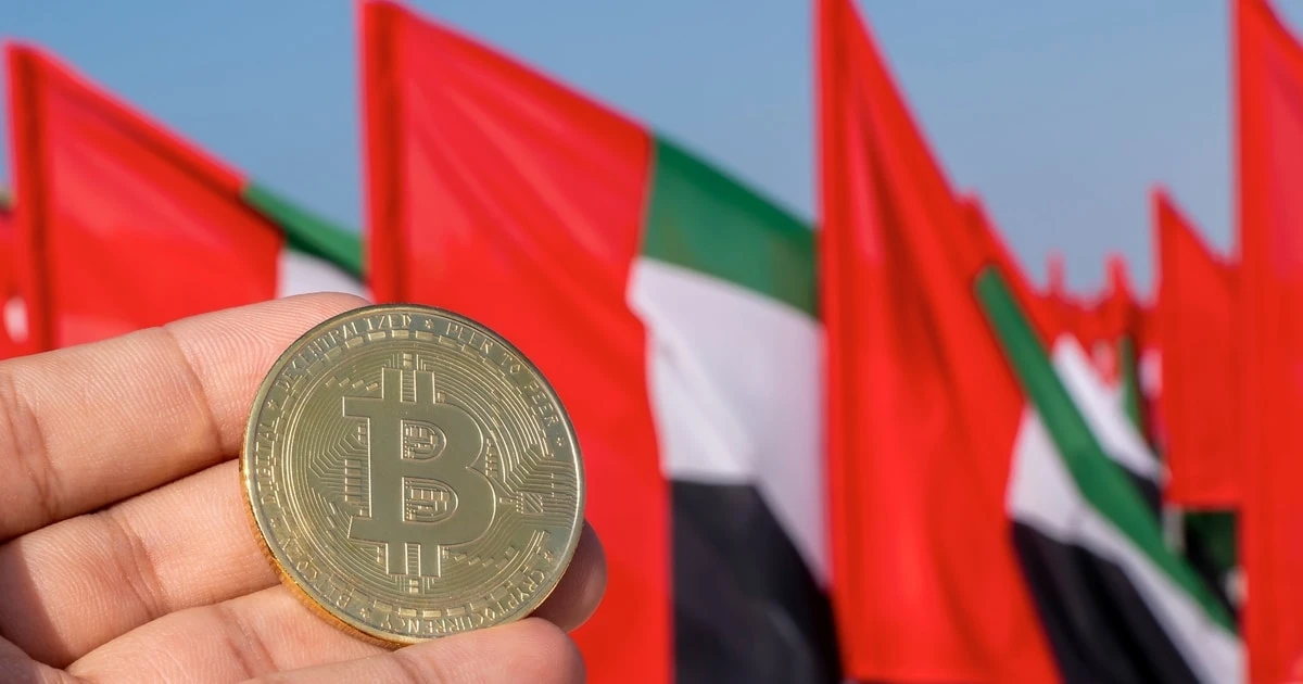 UAE to Strive for Virtual Service Provider Licenses before Q2