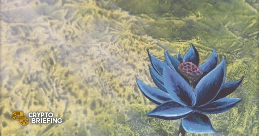 Magic: The Gathering Threatens Action Over Destroyed Card NFTs