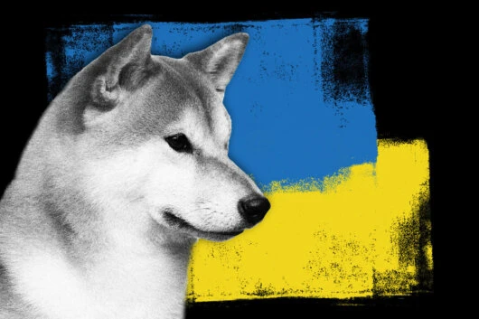 Ukraine Expands Its Crypto Donation Options with the DOGE Cryptocurrency