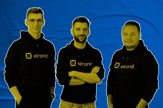 Romanian Central Bank Approves Elrond Acquisition of EMI Institution Twispay