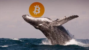 BTC Is Again Into Bullish Run: Whales Shifts $44 Million Worth Of BTC