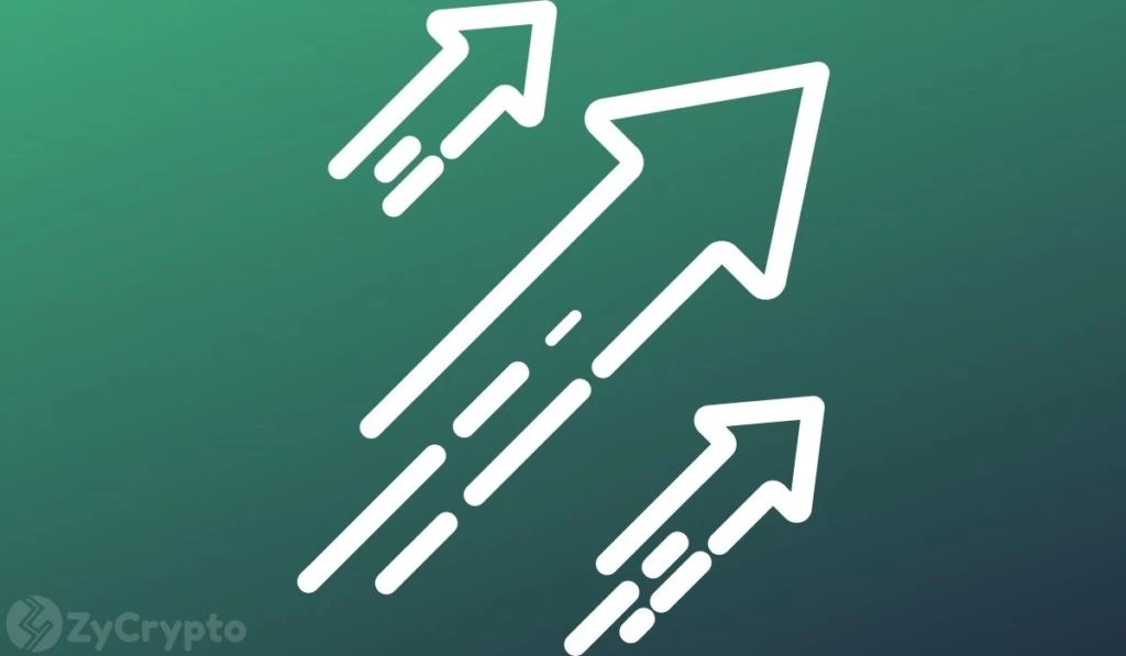 Shiba Inu, Solana, Polygon, and Compound Gain Huge Traction For Over 20 Million Robinhood Users
