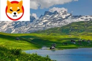 Shiba Inu payments acknowledged by Swiss-based MNC