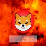 Shiba Inu Burn Rate Surge 15,071%, As 287.32 Million SHIB Burnt In 24 Hours