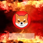 10.9 Billion SHIB Burnt By Official Shiba Inu Burn Portal Since Launch