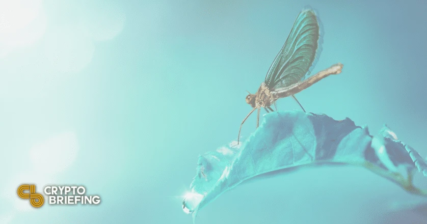 Dragonfly Capital Secures $650M for Third Crypto Fund