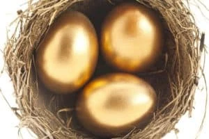 Is Shiba Inu the new goose laying golden eggs?