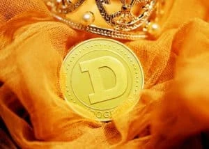 There Is A New Dogecoin Follower In Town; Guess Who?