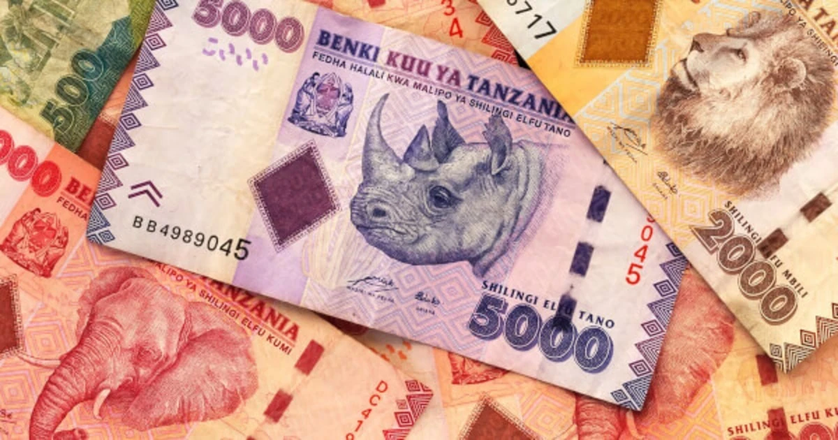 The Bank of Tanzania to Introduce CBDC, Strengthening Domestic Payment System