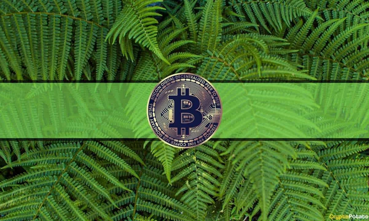 Green Market Watch: Bitcoin Rebounds $5K, Cardano and Polkadot Recover 25%