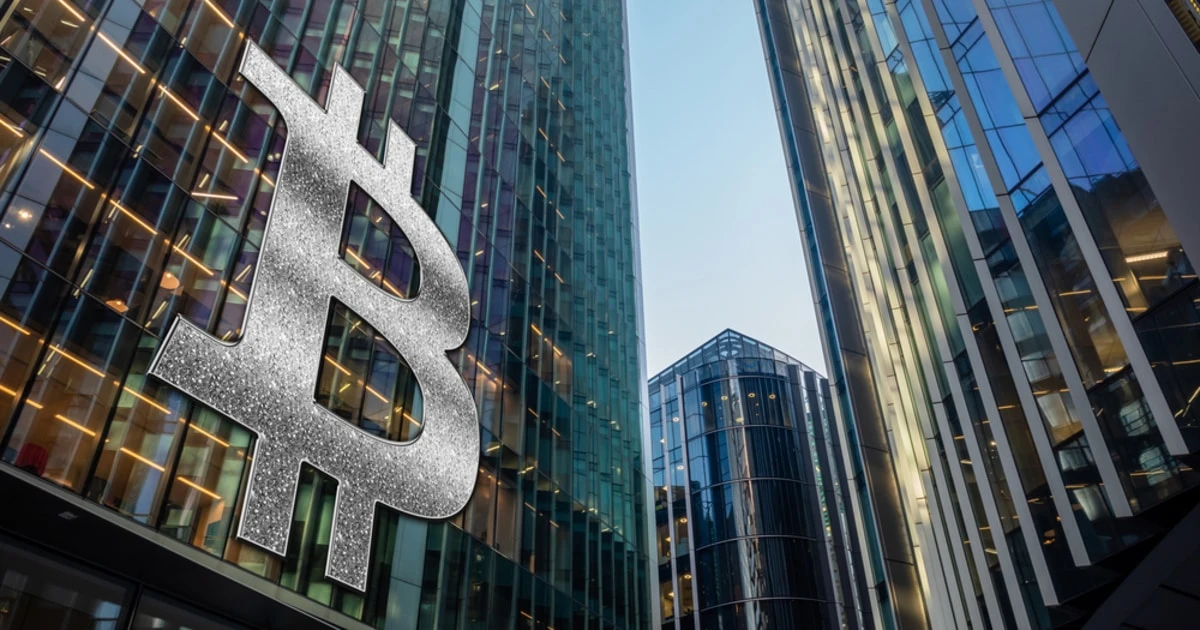 Crypto Experts Give Advice as the Digital Currency Industry Continuously Suffer from a Freefall
