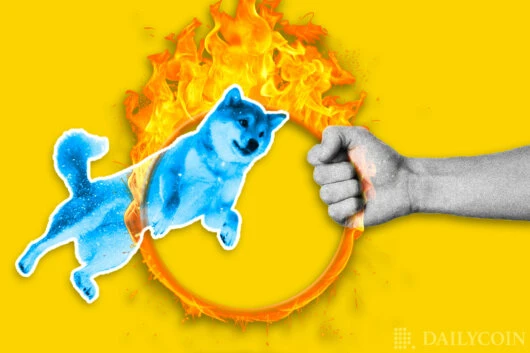 Shiba Inu on Fire as Nearly 13 Billion Tokens Burned in the Last 24 Hours