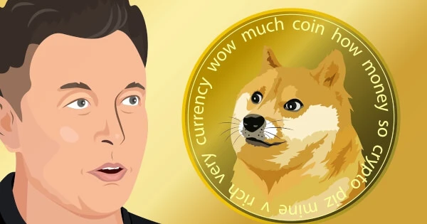Musk Says SpaceX will Follow Tesla's Lead in Adding DOGE Payments