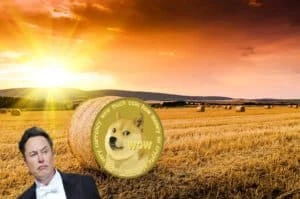 Dogecoin co-founder addresses Musk’s Twitter takeover