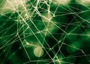 Web3 Days Are Over? Jack Dorsey’s Web5 Touts Itself As The Next Web Evolution