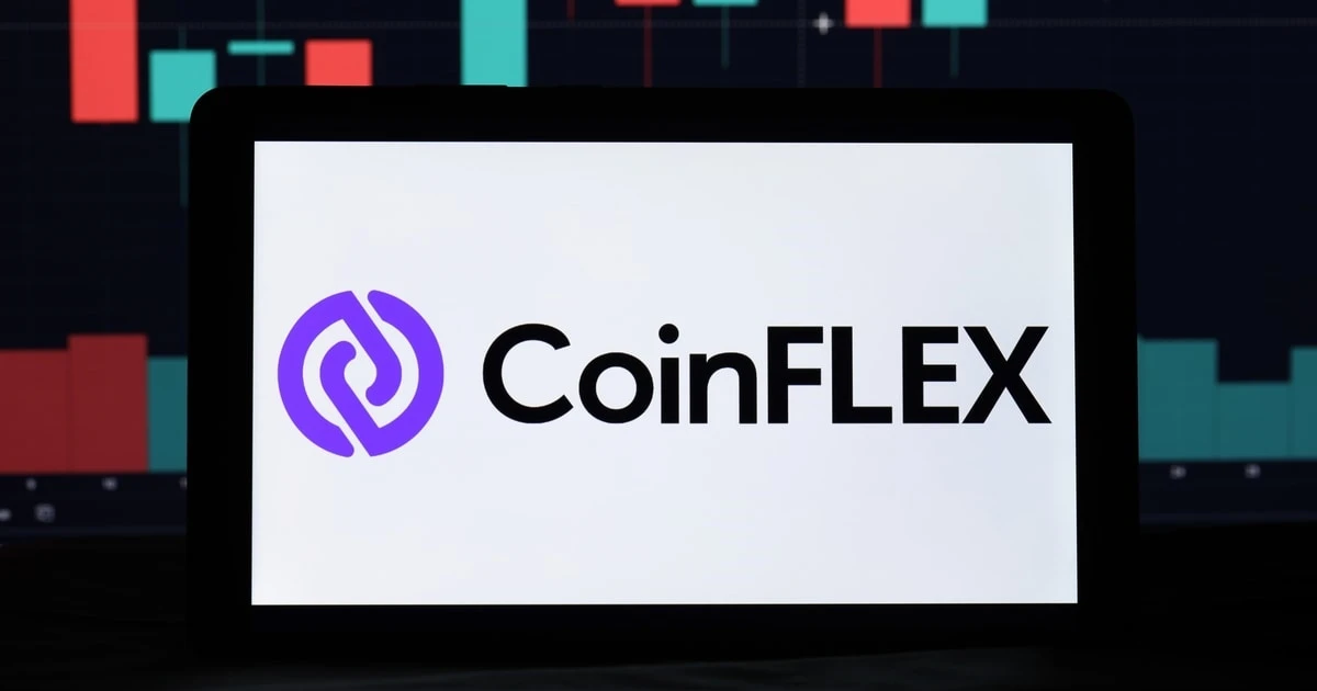 Roger Ver Owes CoinFlex $47 Million in USDC, Says CEO