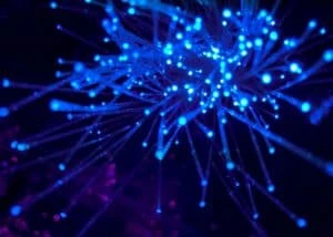 Cardano’s Vasil Fork Is Successfully Deployed On Testnet; What’s Next