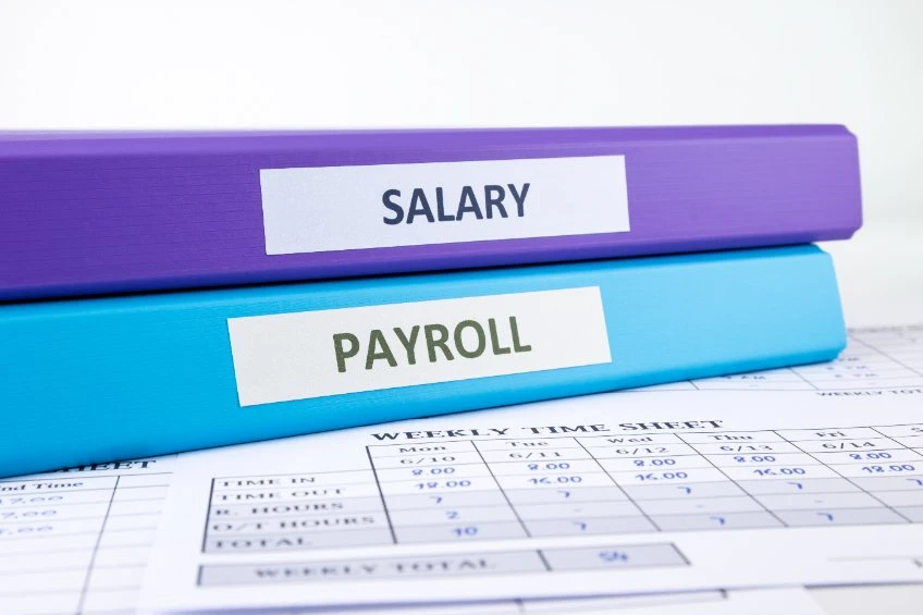 Exclusive: Bitwage CEO wants to ’empower digital dollar salaries globally’