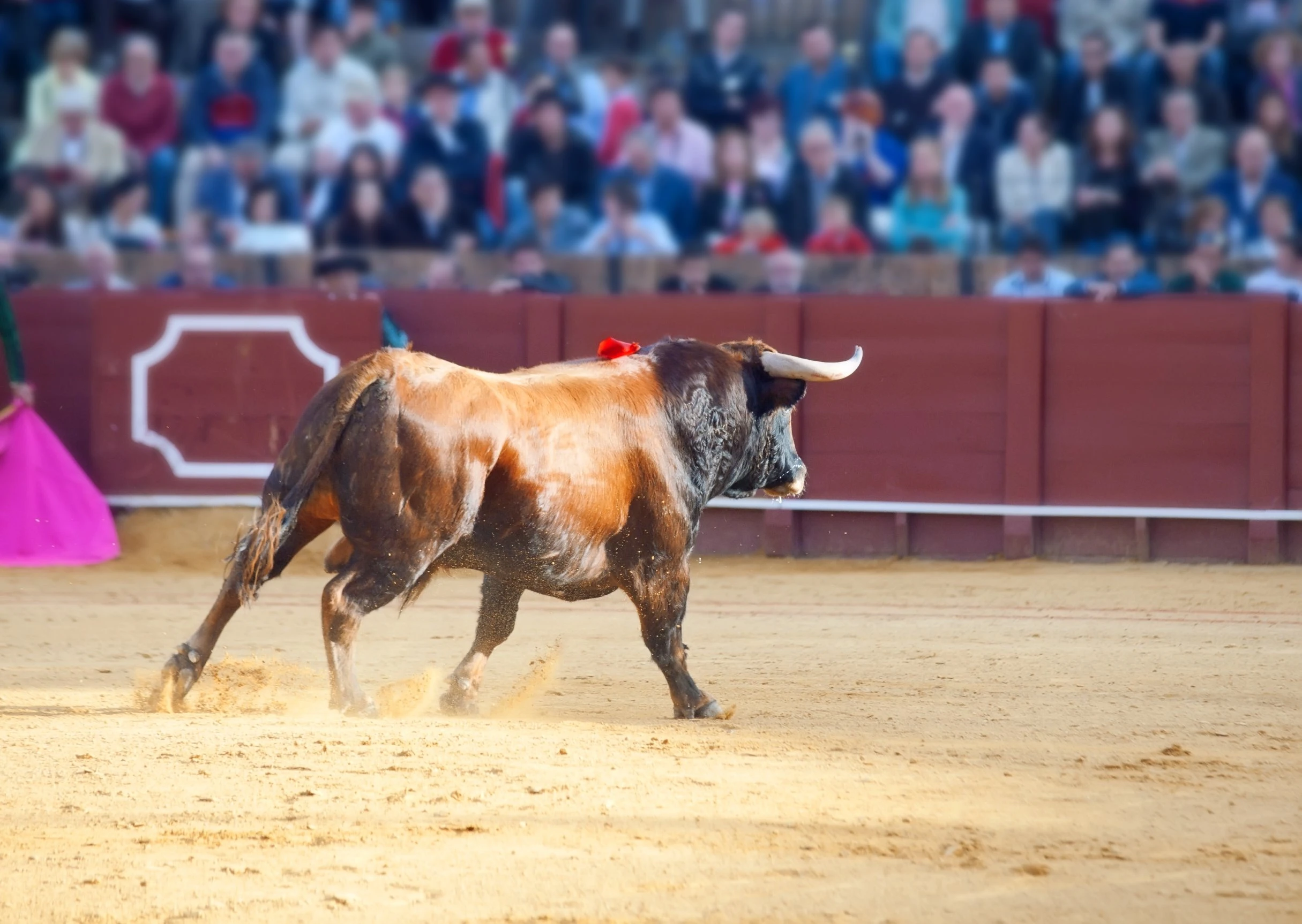 Bitcoin price prediction: analyst says short-term trend is bullish, targets $26K