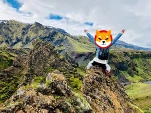 Shiba Inu takes lead over Dogecoin as its Twitter followers increase