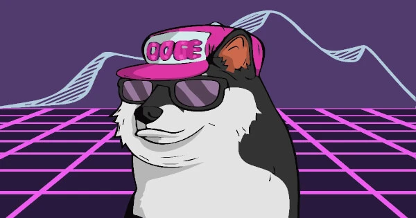 Neopets Announces Neopets Metaverse Version Release