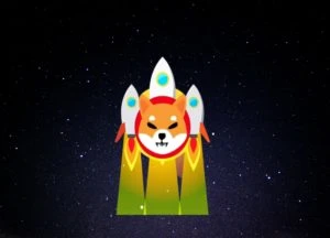 Has Shiba Inu been reaching for the stars? Here’s what it means