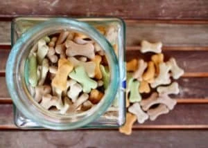 Shiba Inu’s BONE Gets Picked Up By This Exchange