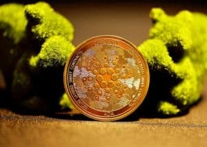 Cardano Spearheads $11M Investment In Africa’s Embedded Finance