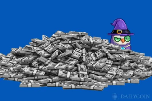 Moonbirds NFTs Raise $50M, Plans to Store Blue Chip NFTs ‘In Chain’