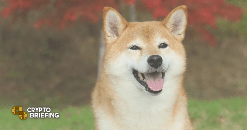 Dogechain Halted, Restored After Critical Bug Found