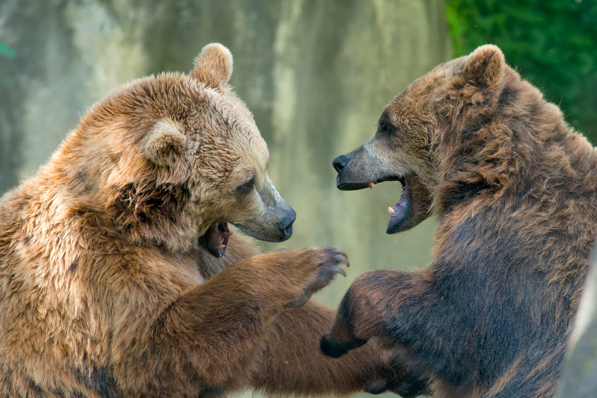 Musings from the editor: is Peter Schiff right on Bitcoin?