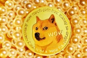 Waiting for Dogecoin to go parabolic: David Gokhshtein