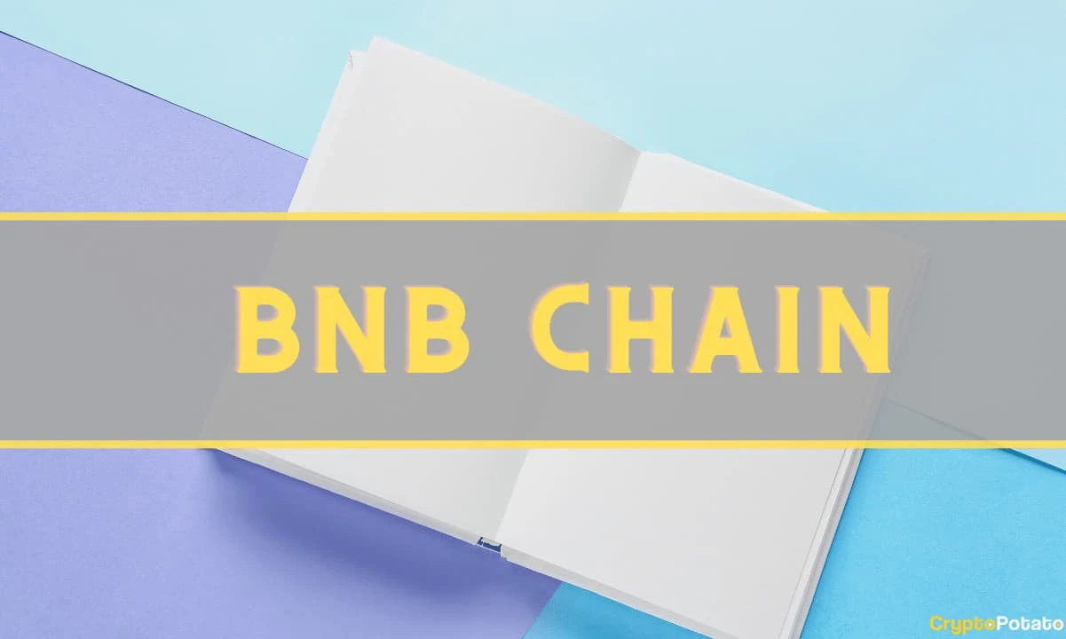BNB Chain Functioning Back to Normal Following the Recent Hack