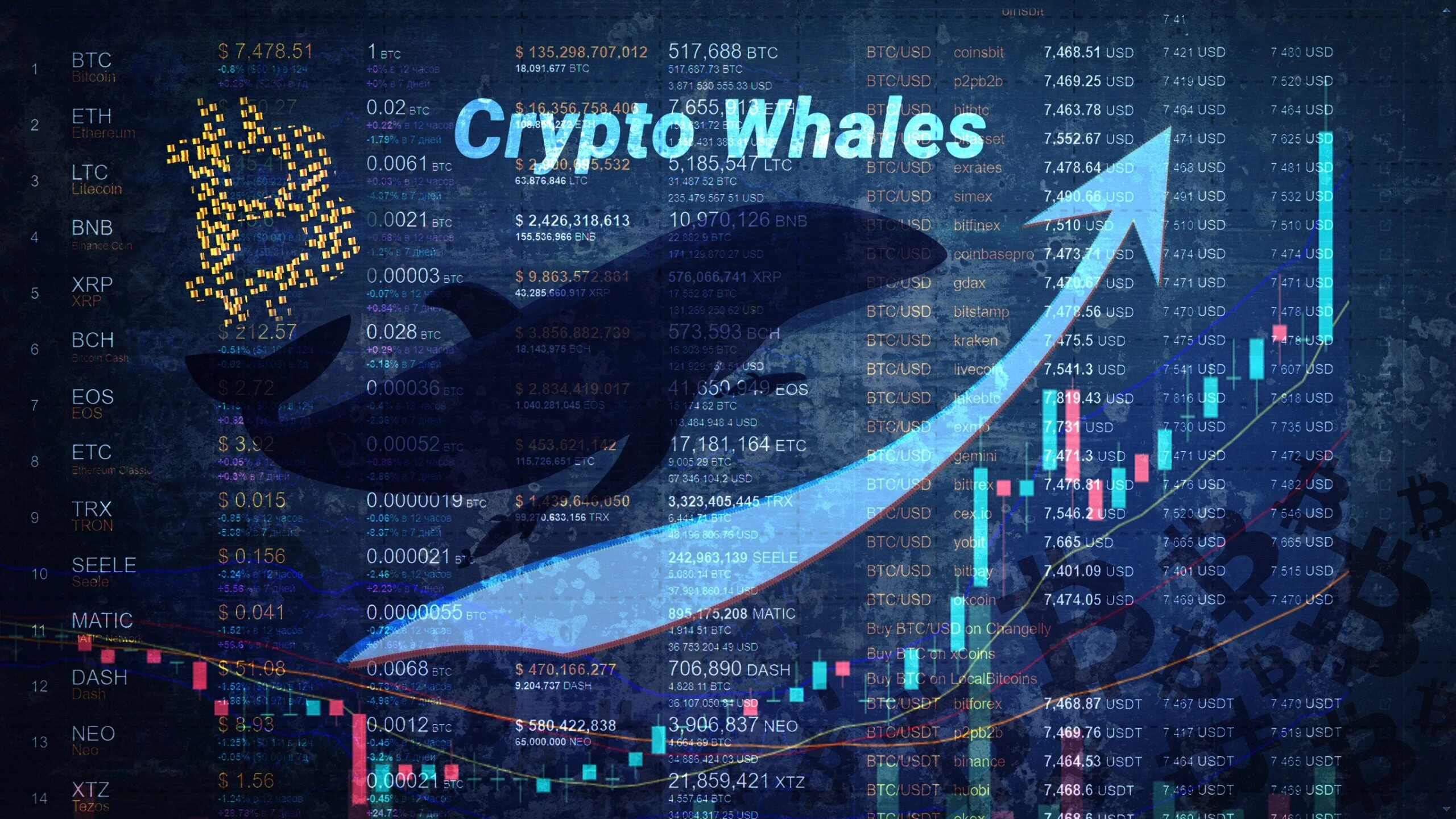 Whales accumulated over $929M in Bitcoin in the last two weeks, should you BTC now?